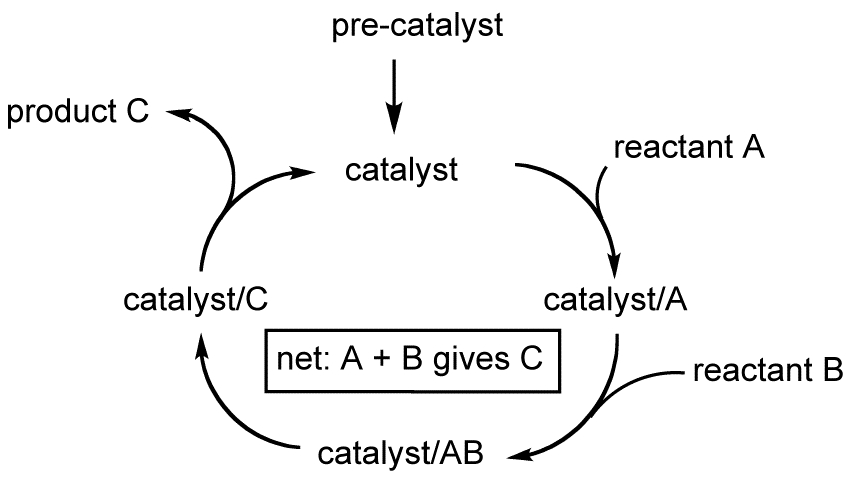 Catalytic Cycle