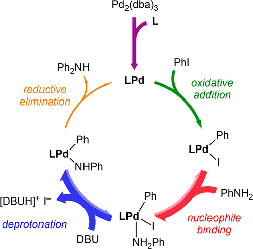 Decorated Cycle